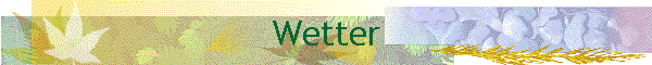 Wetter